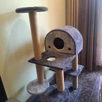 درخت (اسکرچر) گربه
