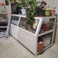 ویترین مغازه