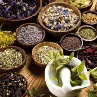 بانوان فعال بشتابیدکار برای خانم ها