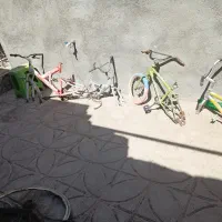 تنه دوچرخه