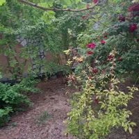 خونه باغ راوند