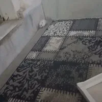 همستر