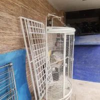 قفس بزرگ پرنده