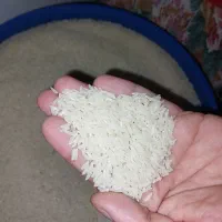 برنج طارم هاشمی درجه1.خالص خوش عطروطعم و خوش پخت
