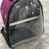 کیف حمل پرنده