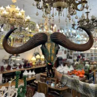 مجسمه تندیس جمجمه اسکلت کله گاو بوفالو دیواری کوب