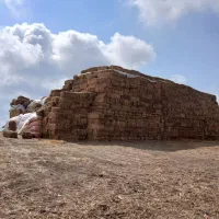 کاه|لوازم جانبی حیوانات|سمنان, |دیوار