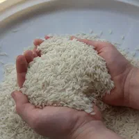 برنج هاشمی سر دانه ی ناب