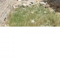 زمین در گلستان ۲۱۳ متر