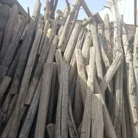 چوب درختی
