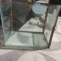 آکواریوم کامل به همراه لوازم