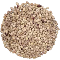 لوبیا چیتی