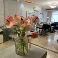 ناخنکار حرفه ای