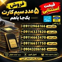 فروش یک جا پنج خط