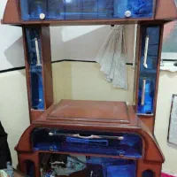 زیر تلوزیونی