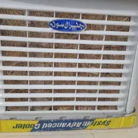 کولر ۳۰۰۰