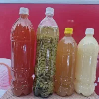محصولات ارگانیک کاشمر