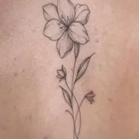 (خدمات و آموزش تتو) از ۷۰۰تا۲ تومن پیش من تتو بزن