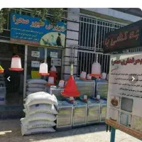خوراک طیور لوازم مرغداری و جوجه کشی