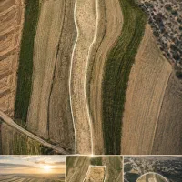 زمین-کشارورزی-مناسب-باغ-وویلا