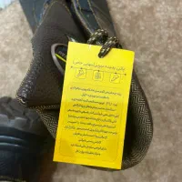 کفش ایمنی