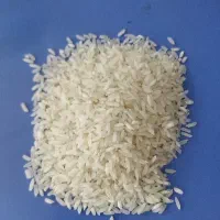 سرلاشه یکدست بازرگانی نورمحمدی