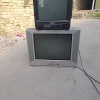 تلویزیون‌