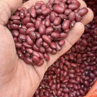 لوبیا قرمز درجه یک زنجان ویژه محرم