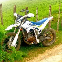 موتور کویر T4