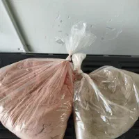 غذا ماهی