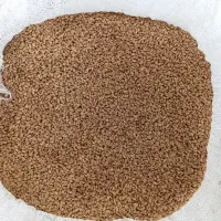 200 کیلو گندم