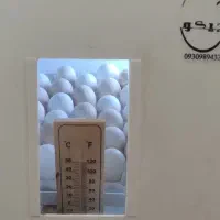 دستگاه جوجه کشی اتوماتیک