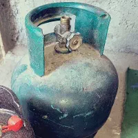 تعدادی پکنیک با شیر نو آماده استفاده