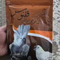 سرلاک ققنوس