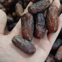 خرما و رطب