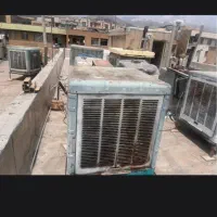 کولرابی.۶هزار