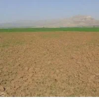 زمین زراعی در شوط