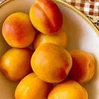 گوجه سبز و انواع نهال گلدانی تضمینی و باکیفیت