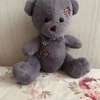 خرس|اسباب‌‌بازی|همدان, |دیوار