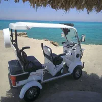 موتور چهار چرخ فروشی