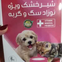 شیرخشک ویژه بچه گربه و سگ