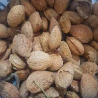 بادام