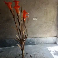 چراغ خواب