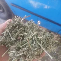 فروش یونجه درجه 1