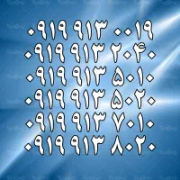 0919.913.5020