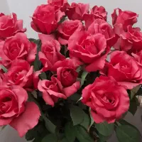 قدیمی و قشنگ