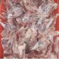 اسکلت مرغ