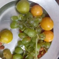 ۵۰ عدد کارتن خرما مضافتی
