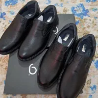 کفش مجلسی|کیف، کفش، کمربند|آبپخش, |دیوار