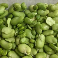 انواع محصولات خانگی پخت روز کاملا بهداشتی